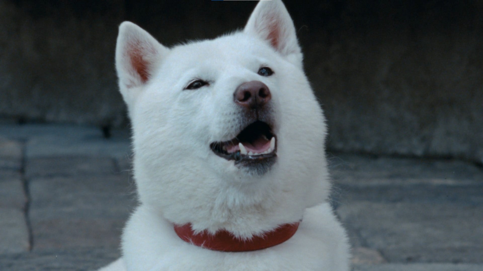 「りんごとトラック」 篇（提供写真）