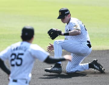 阪神レギュラー争い レフトは高寺が一歩リード ショートはディベイニーが小幡の守備力を上回る打撃を見せないと 評論家が指摘