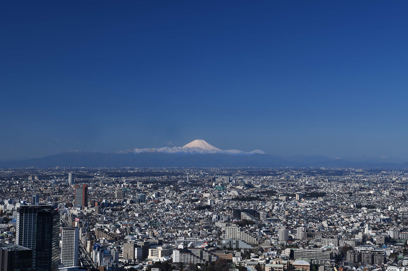 屋上からの眺望（富士山方面・昼）／画像提供：東日本旅客鉄道