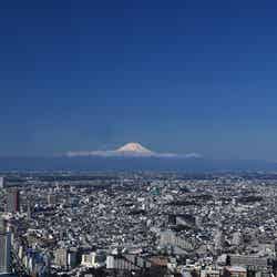 屋上からの眺望(富士山方面・昼)/画像提供:東日本旅客鉄道