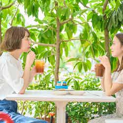 1泊3日でシンガポールはこんなに楽しめる(C)モデルプレス