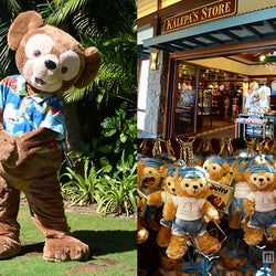 ディズニー 超キュートなハワイ限定ダッフィー アウラニ体験レポ モデルプレス ディズニー 超キュートなハワイ限定ダッフィー アウラニ体験レポ モデルプレス