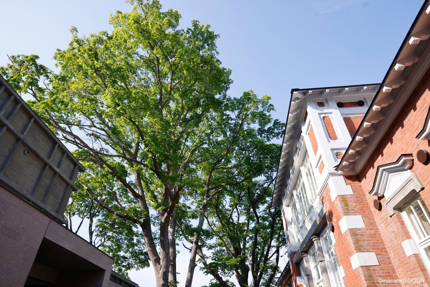 HOTEL 白林 HAKODATE／提供画像