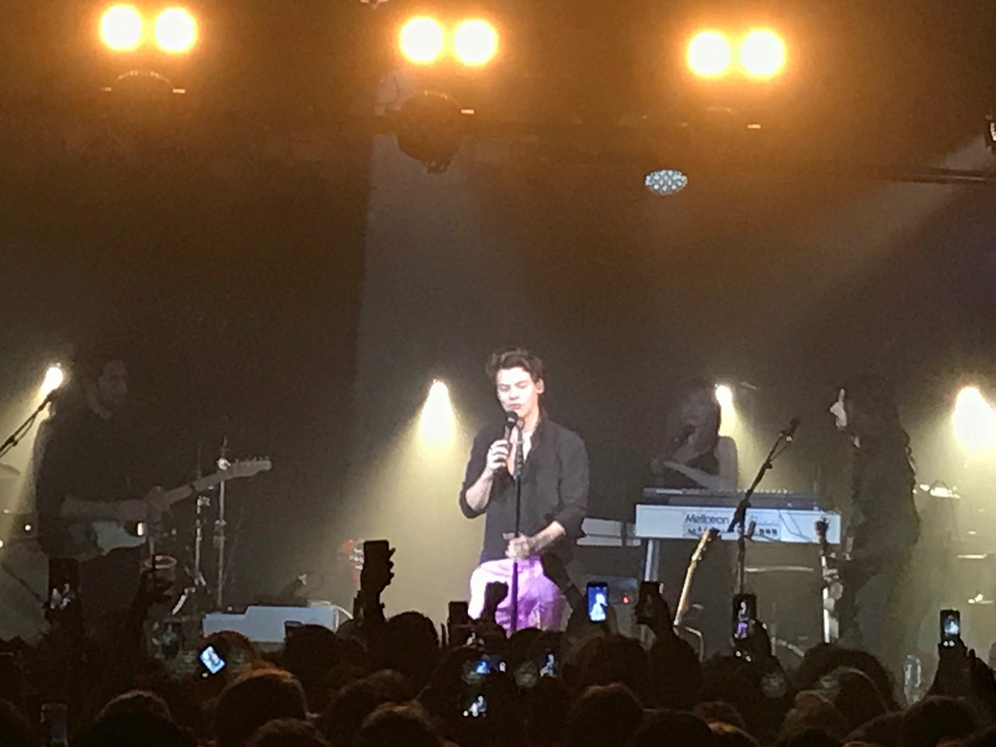 ハリー・スタイルズ／モデルプレス独占写真（提供画像）