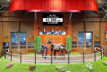 【セレクトセール2026】当歳初の4億円超えは3冠牝馬リバティアイランドの半弟 4億1000万円で落札 購買者はスティンガーグラスなどを所有するエムズレーシング