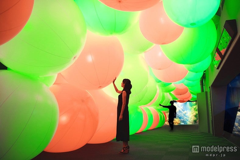 呼応する球体と夜の魚たち／画像提供：新江ノ島水族館