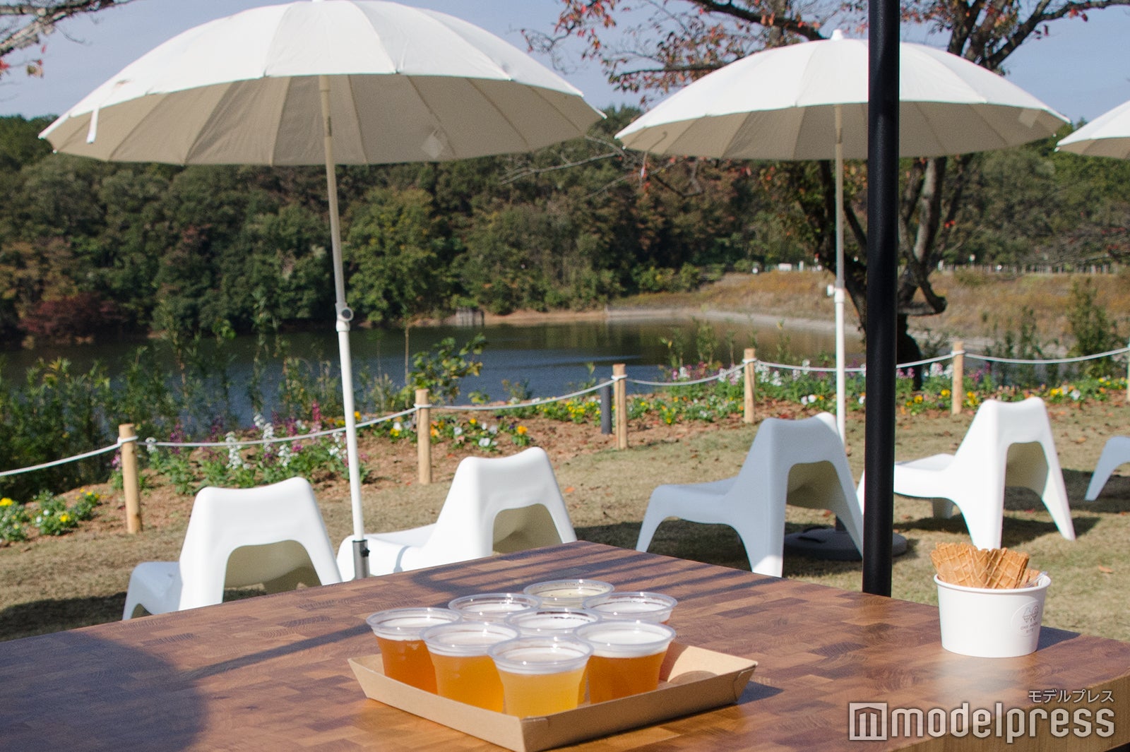 メッツァビレッジ（C）モデルプレス