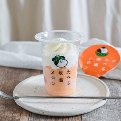 もはや殿堂入り ファミマの新作 たべる牧場メロン をアイスマニアが実食 モデルプレス