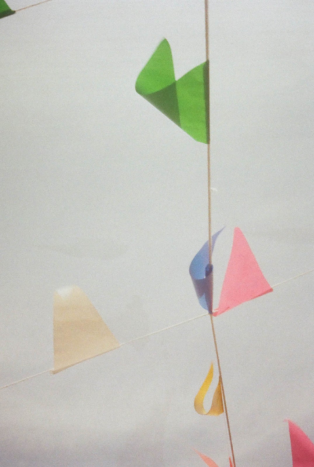 石原壮馬撮影による写真 （提供写真）