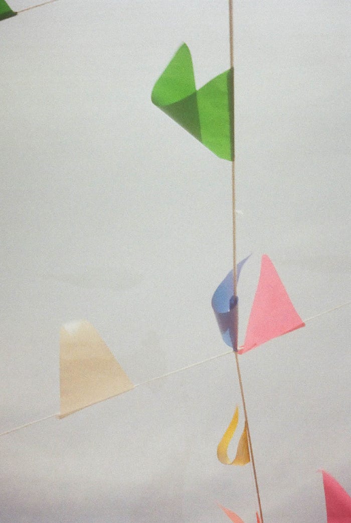 石原壮馬撮影による写真 (提供写真)