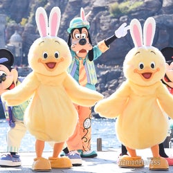 ディズニー イースター19 Tds新キャラ うさピヨ Tdl2年ぶり うさたま 登場 ショーパレード グッズ フード デコレーション 各プログラムまとめ モデルプレス