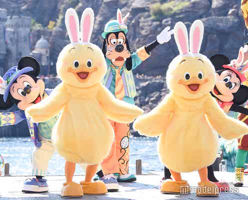 【ディズニー・イースター2019】TDS新キャラ“うさピヨ”&TDL2年ぶり“うさたま”登場 ショーパレード・グッズ・フード・デコレーション…各プログラムまとめ