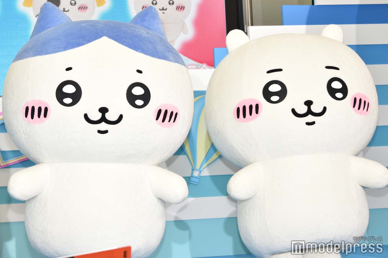 ハチワレ、ちいかわ（C）モデルプレス