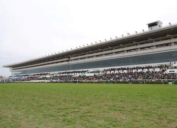 【九十九里特別】3歳牡馬キンググローリーが押し切りVで3勝目 古賀慎師「菊花賞を目指します」 1番人気アロンズロッドは5着