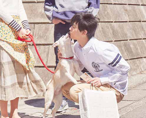 北村匠海・小松菜奈・吉沢亮、“愛犬サクラ”と戯れるメイキングカット解禁<さくら>