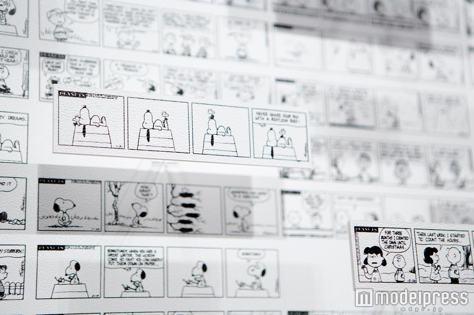 （C）Peanuts Worldwide LLC