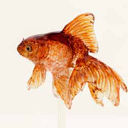 伝統的な飴細工の金魚／画像提供：すみだ水族館