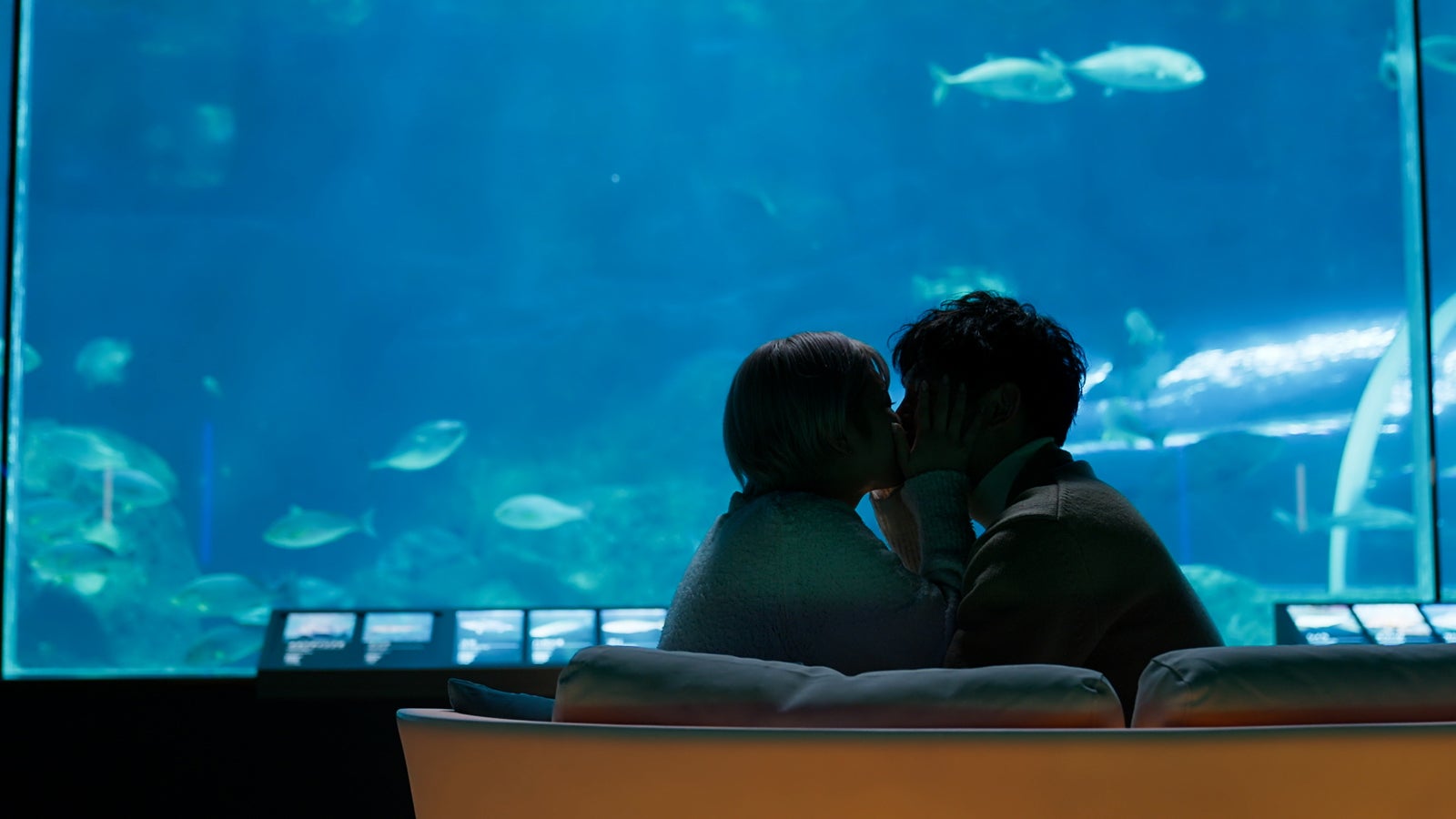 大内悠里、長谷川惠一「バチェラー・ジャパン」シーズン5エピソード9（C）2023 Warner Bros. International Television Production Limited