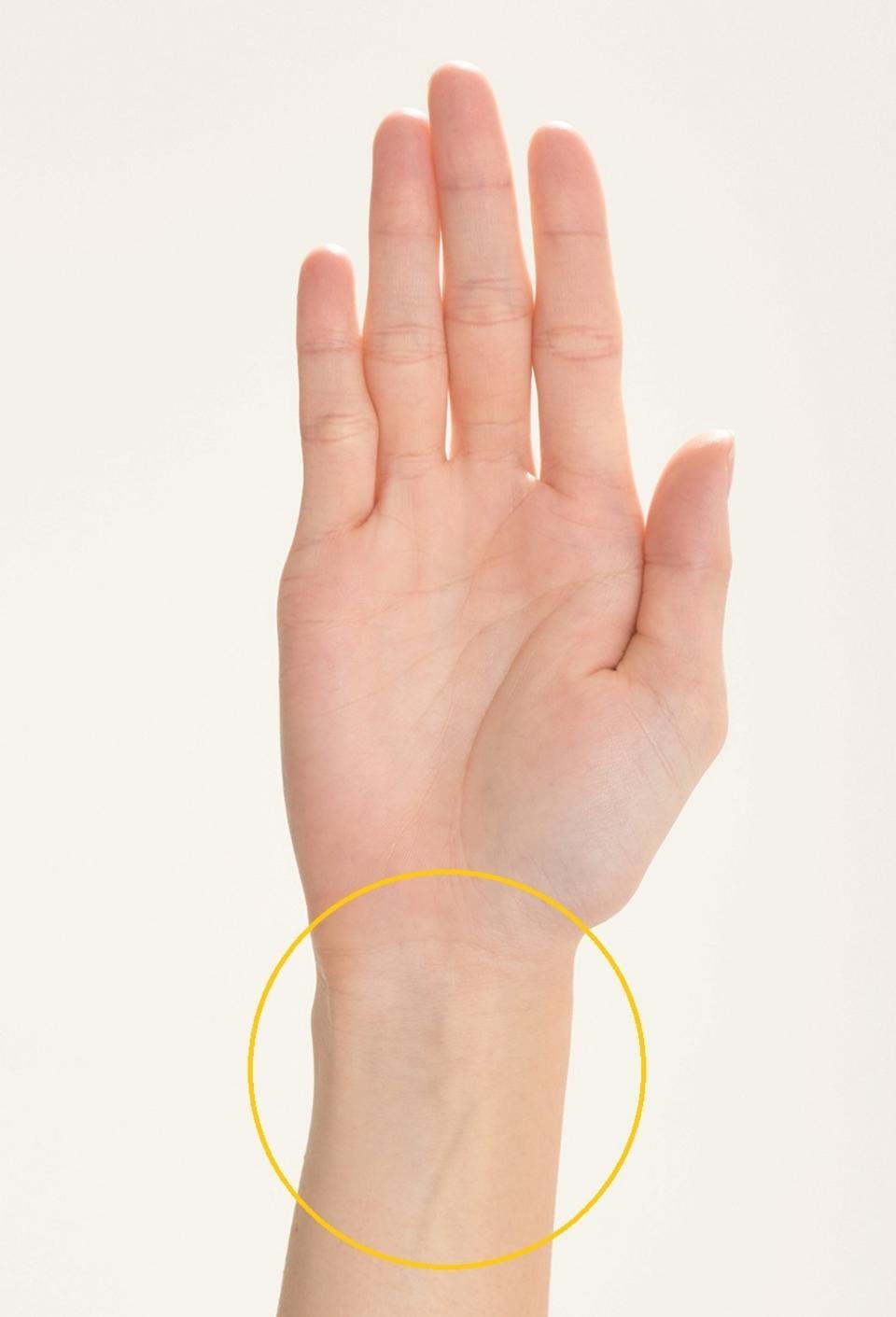 yuzu-collection-content-2498-1524138510.