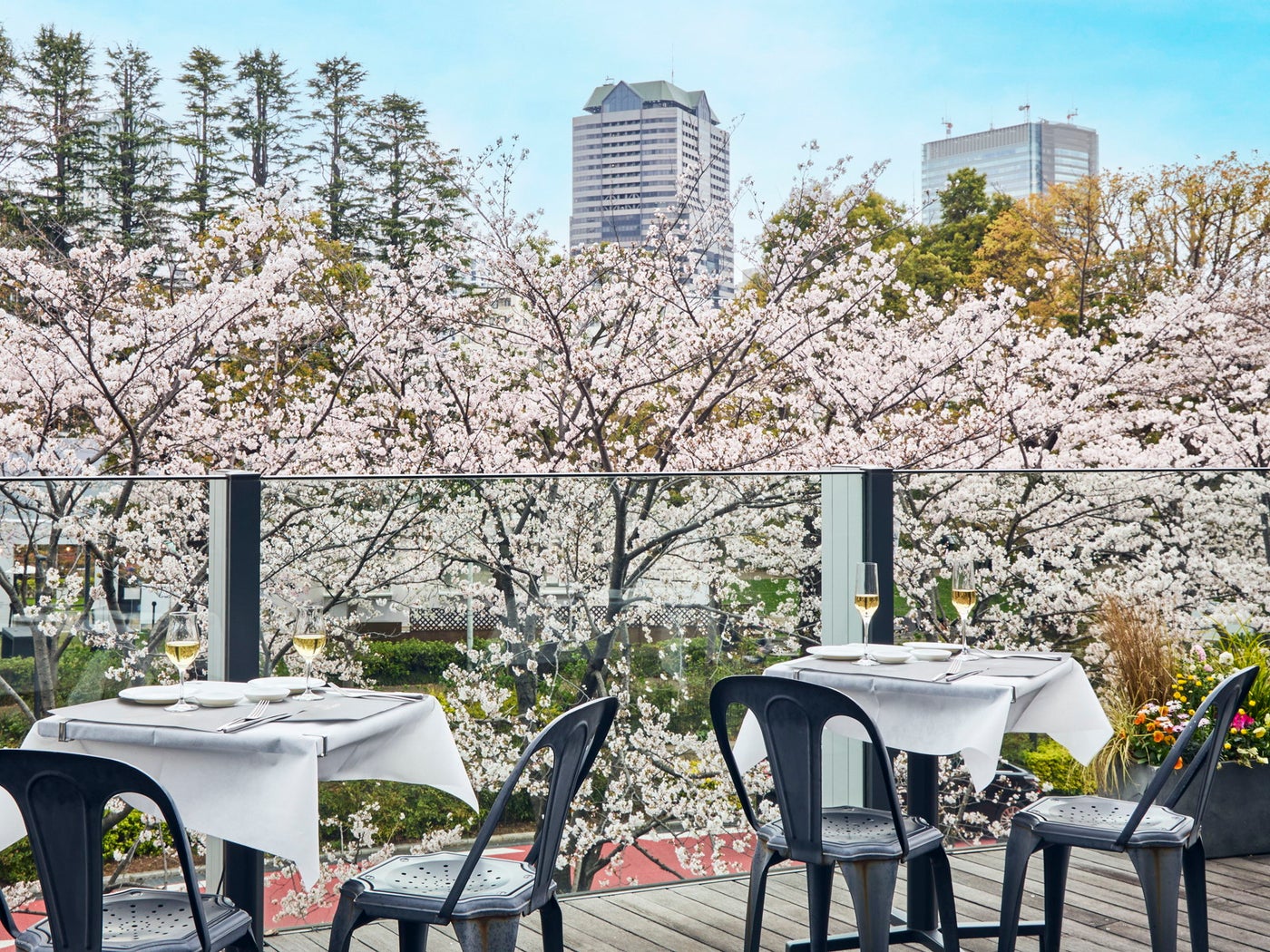 イメージ／提供画像