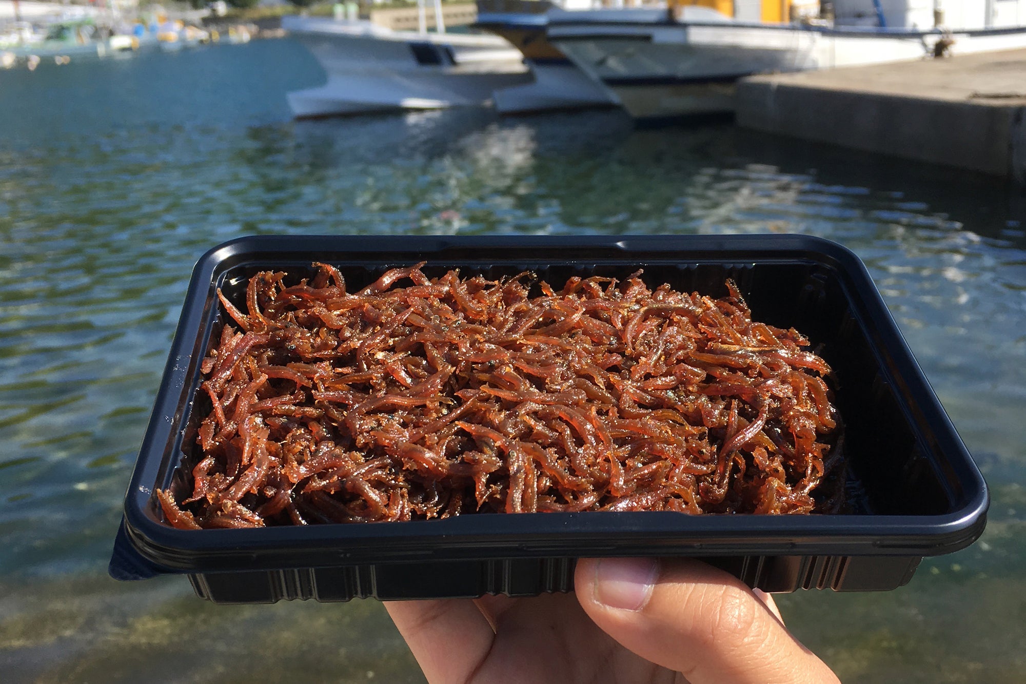 兵庫の春の風物詩