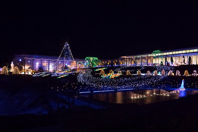 イルミネーション - はままつフラワーパーク by nubobo