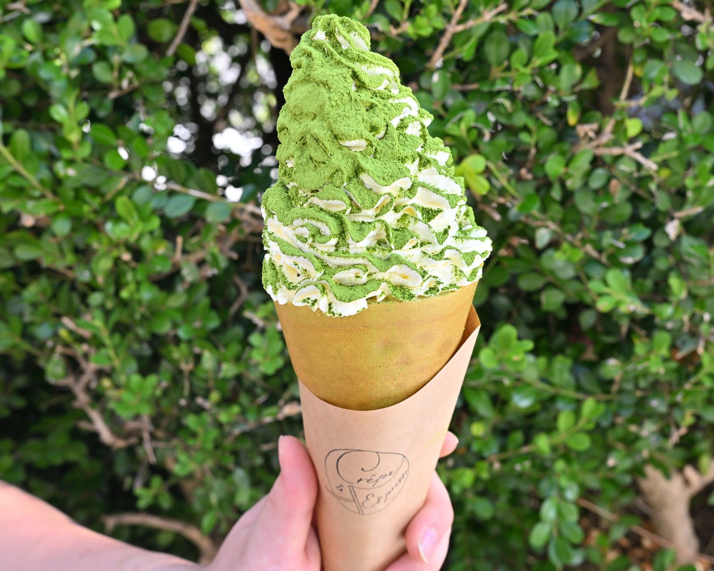 クレープとエスプレッソとかまくら茶房／提供画像