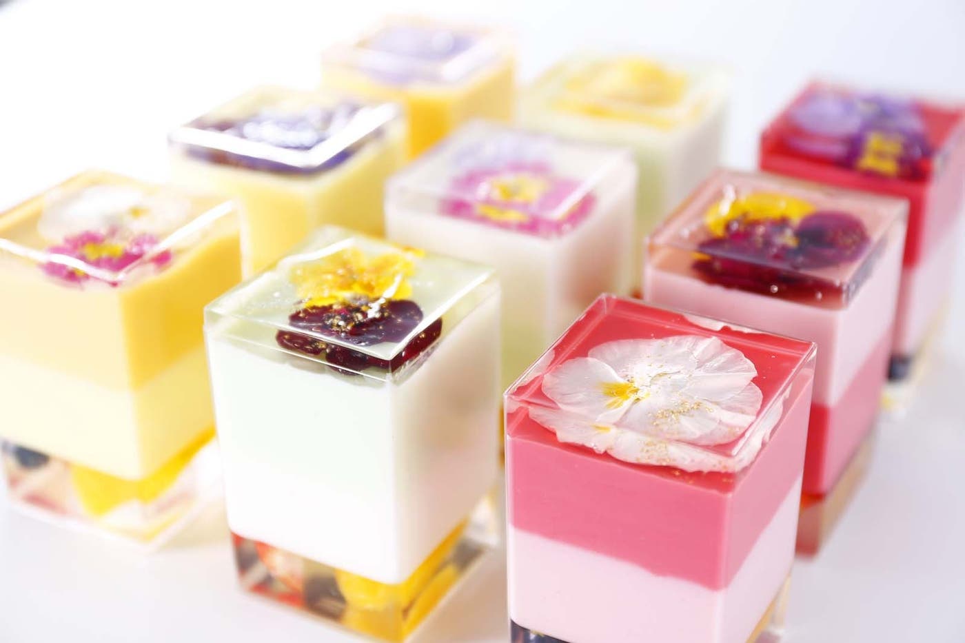3月24日(土)、25日(日)の2日間限定で「花のババロア havaro」が出店
