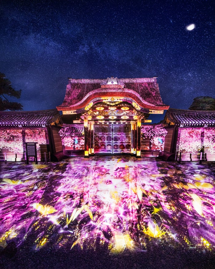 京都 二条城桜まつり19 演出エリアが過去最大に 花見アートが世界遺産彩る 女子旅プレス