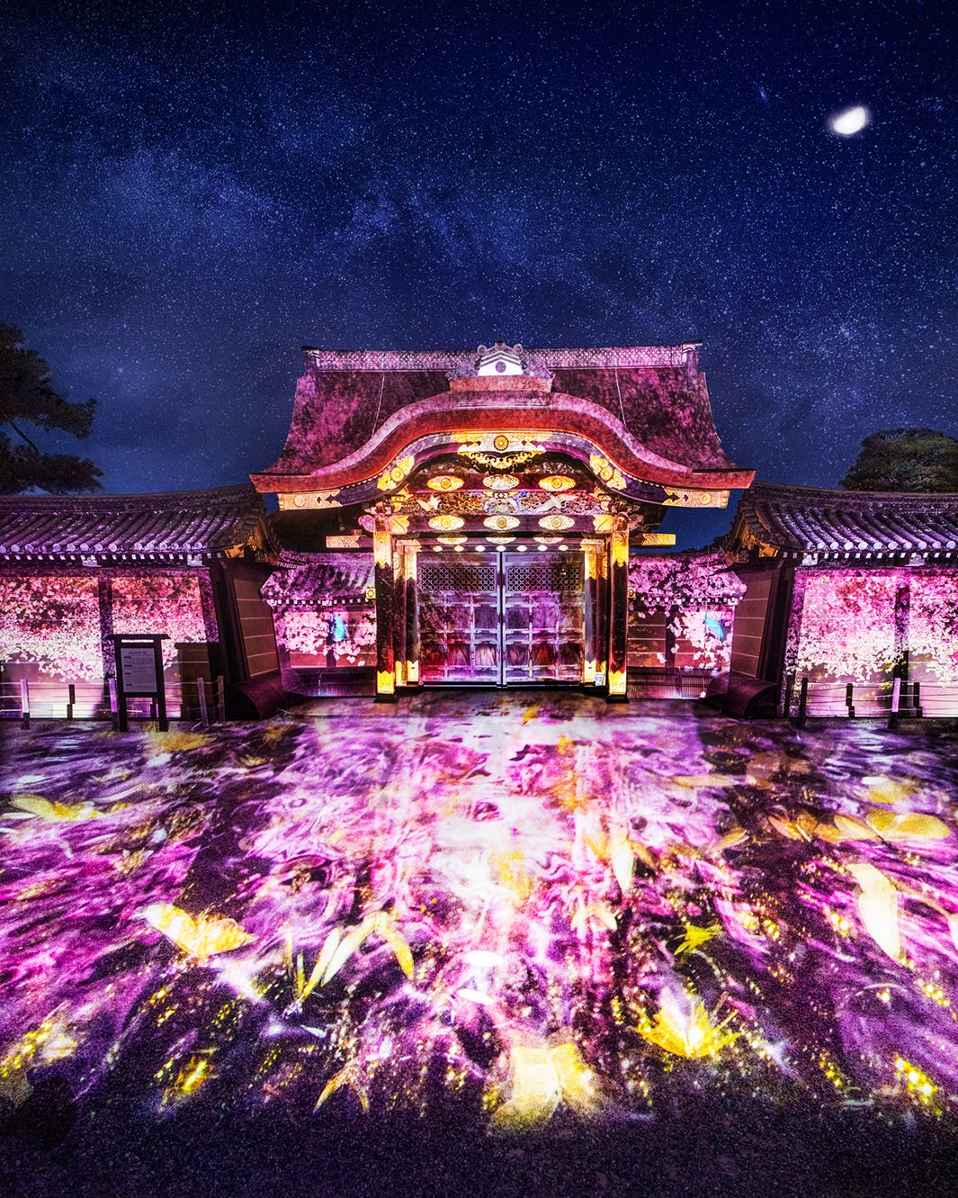 京都「二条城桜まつり2019」演出エリアが過去最大に、花見アートが世界遺産彩る
