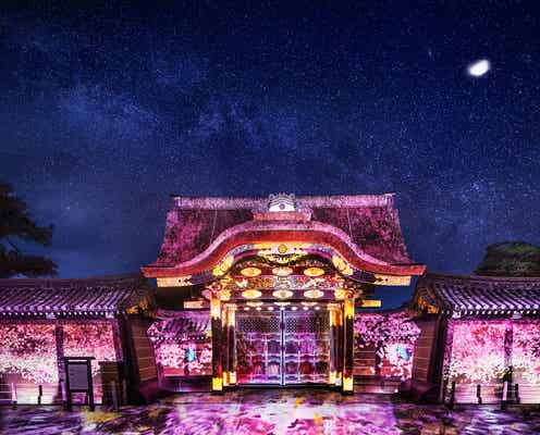 京都「二条城桜まつり2019」演出エリアが過去最大に、花見アートが世界遺産彩る