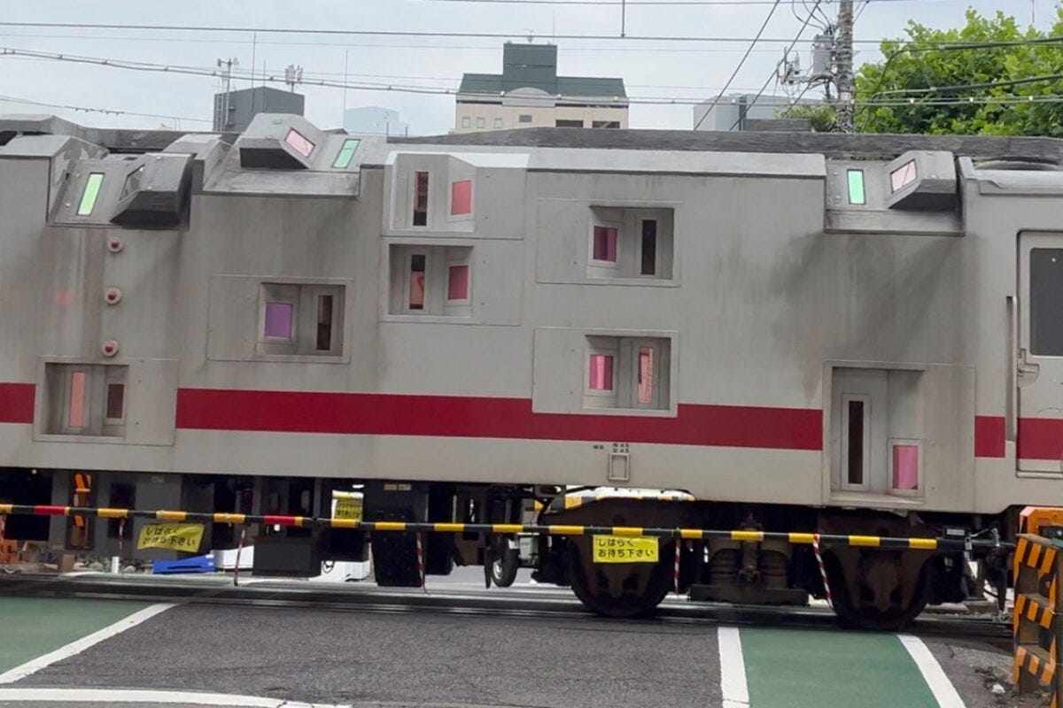 マヤ50