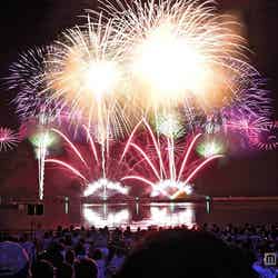 花火と音楽、レーザー光線が融合「スペシャルテーマ花火」が夏の夜空を彩る/画像提供:ハウステンボス【モデルプレス】