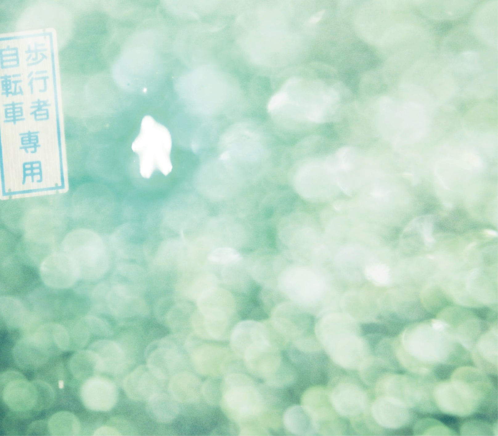 ラブリーサマーちゃん「青い瞬きの途中で」（完全限定生産）