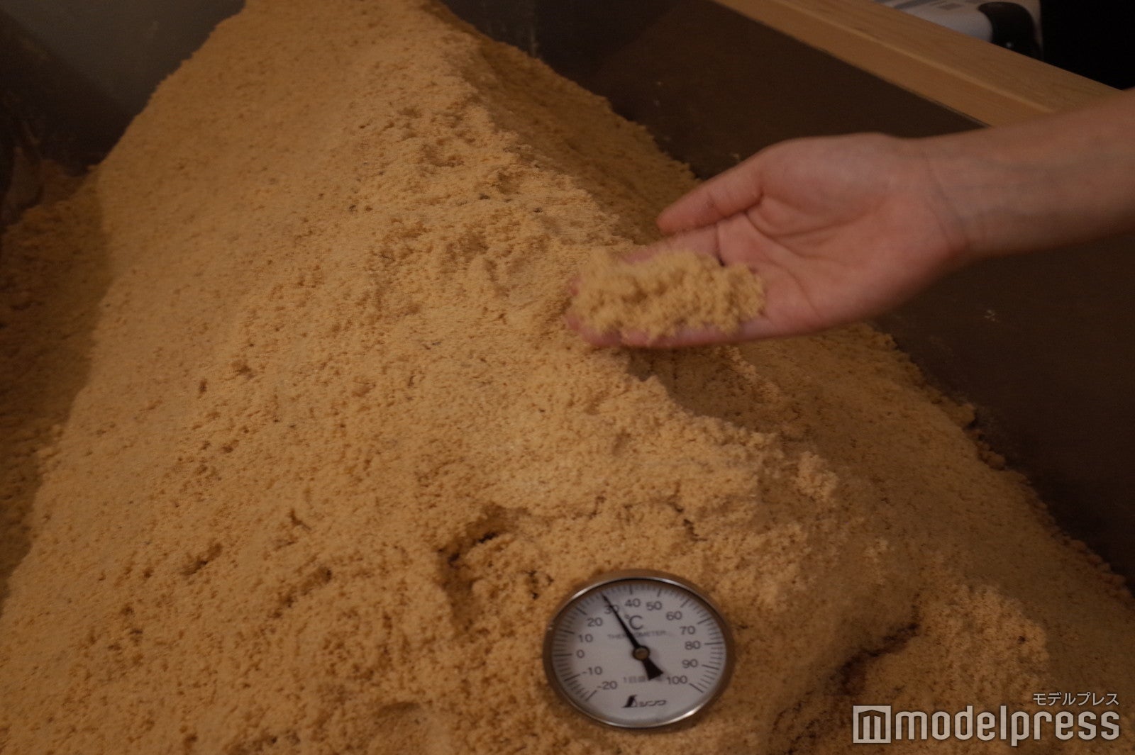 ふふ 箱根（C）モデルプレス