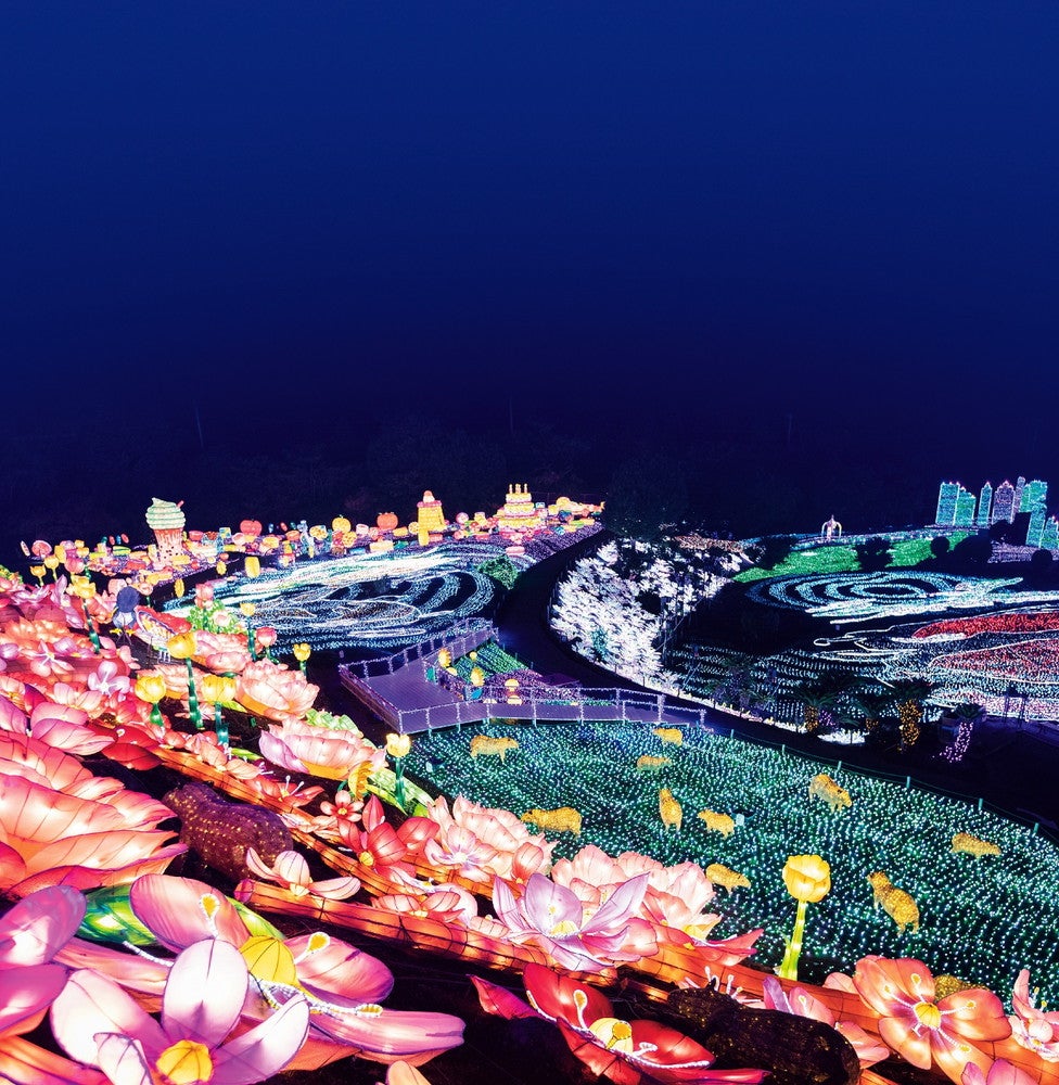 伊豆ぐらんぱる公園 グランイルミ（提供画像）