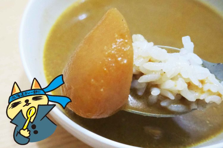 北海道味噌スープカレー