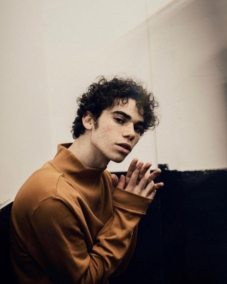 「ディセンダント」「ジェシー！」などに出演の俳優キャメロン・ボイスさん、死去 ディズニー・チャンネルも追悼