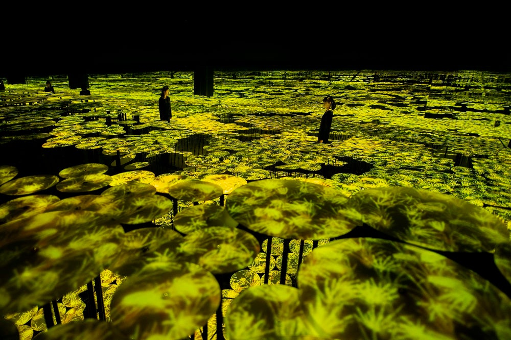 棚田の稲穂／画像提供：チームラボ