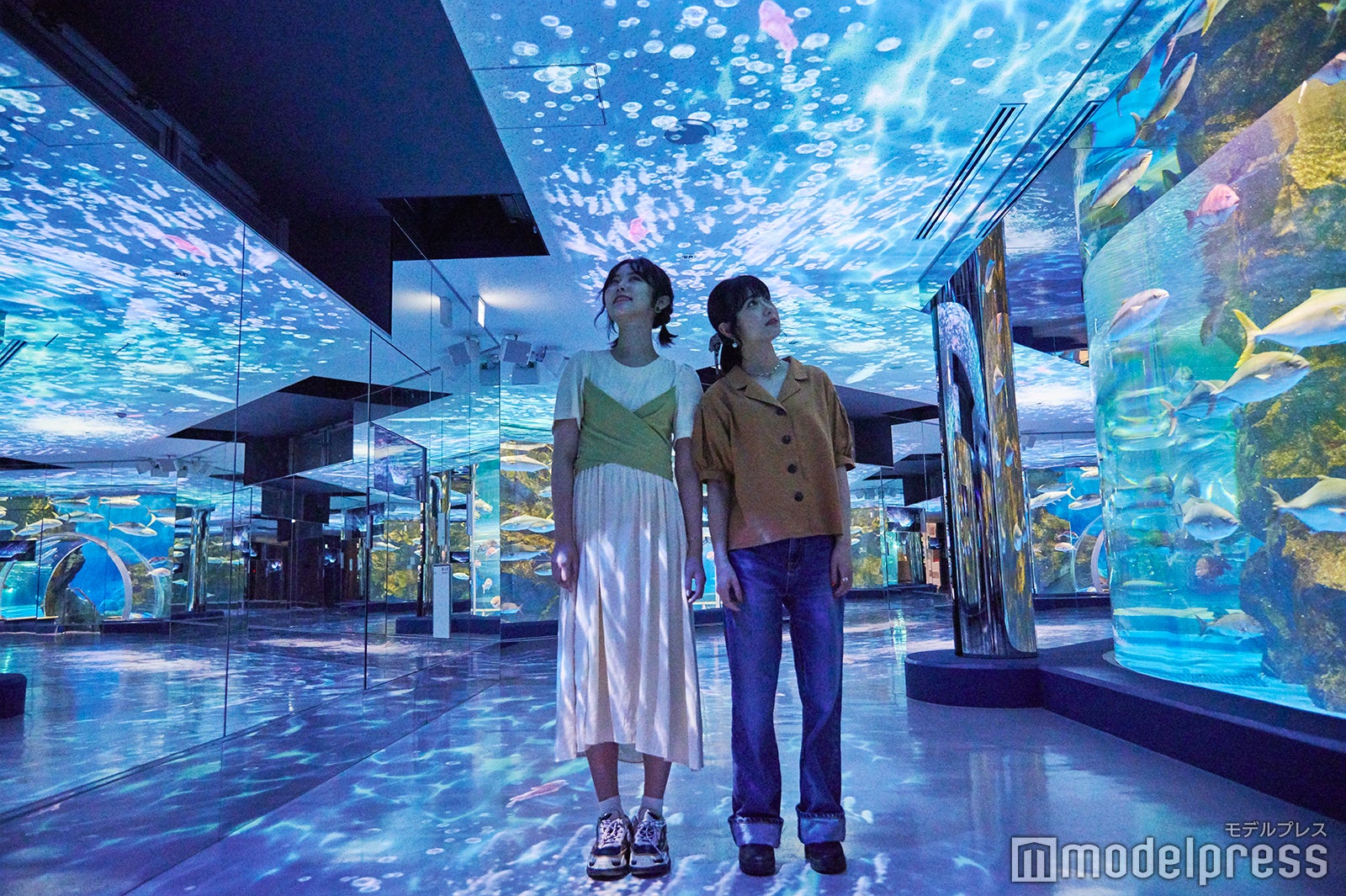 フォトジェニックで今話題の「のとじま水族館」 （C）モデルプレス