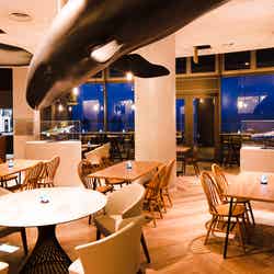 カフェ&メニュー (提供画像)