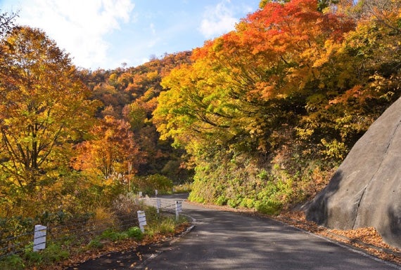 枝折峠提供素材