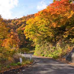 枝折峠提供素材