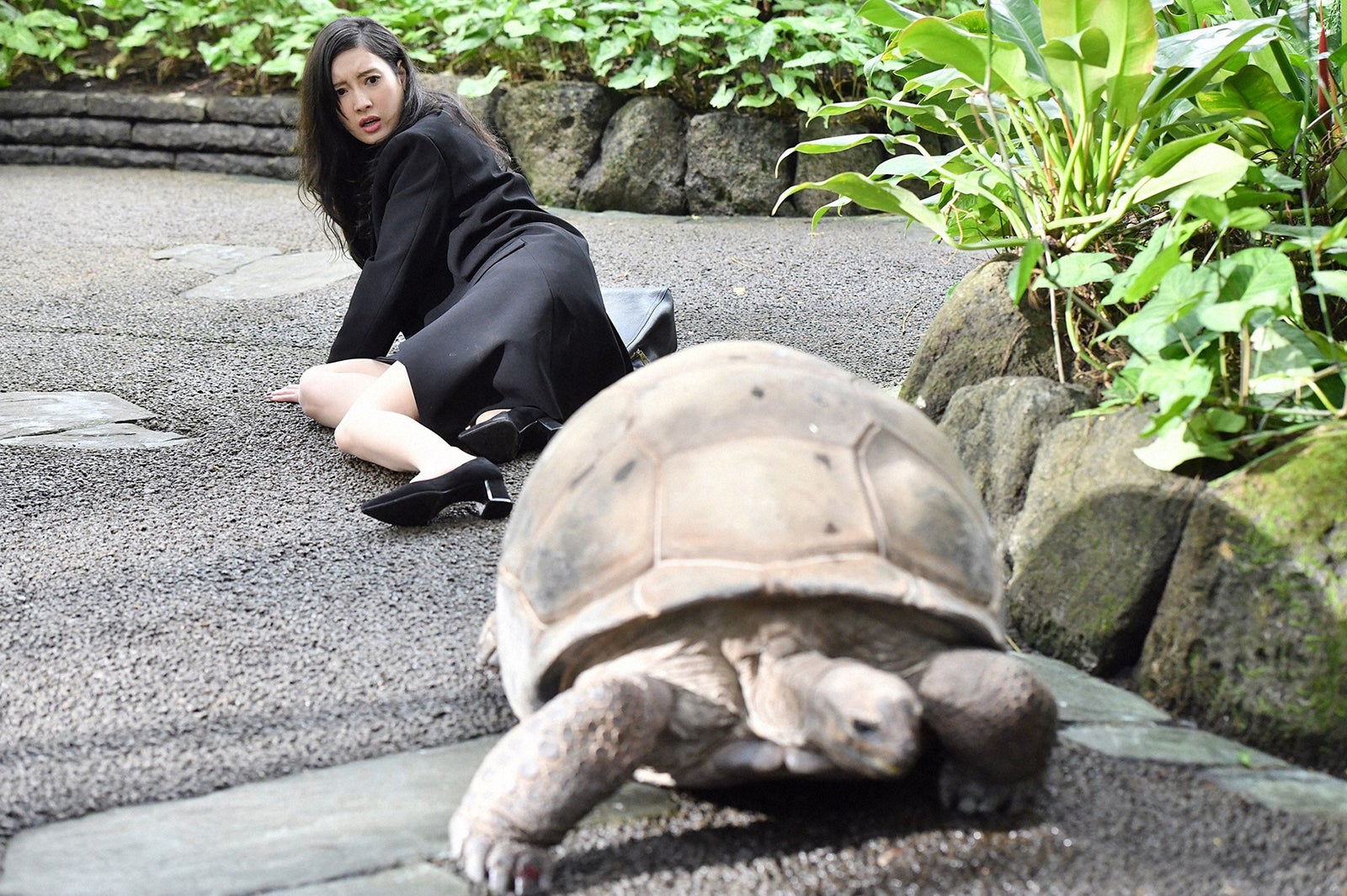 菜々緒／「インハンド」第1話より（C）TBS