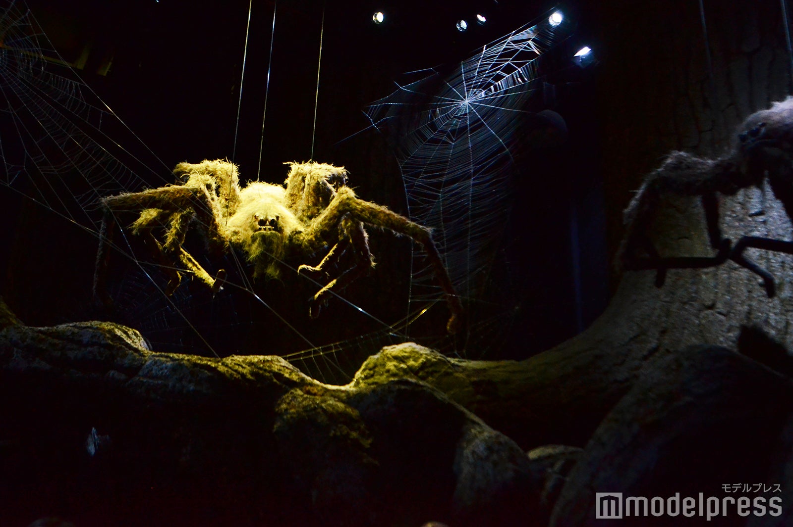 ワーナー ブラザース スタジオツアーロンドン -　メイキング・オブ・ハリー・ポッター（C）モデルプレス Warner Bros. Studio Tour London – The Making of Harry Potter