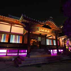 妙典寺/画像提供:福岡市