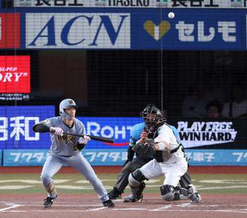 阪神・福島がファームに合流 島田が今季初昇格へ