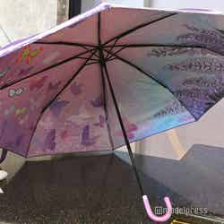 裏面は胡蝶しのぶらしいモチーフがふんだんにあしらわれている(C)モデルプレス