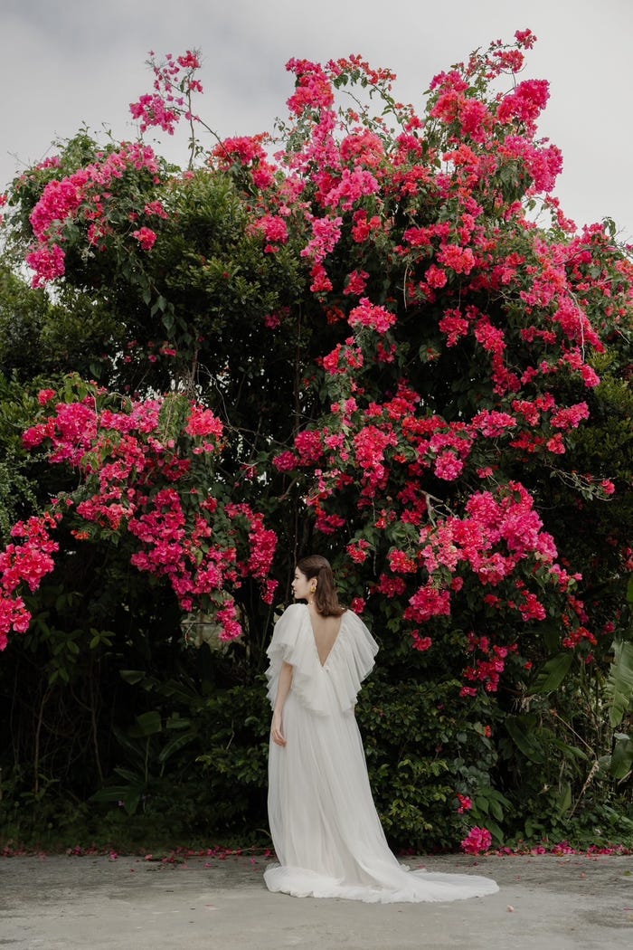 あみ(提供写真)