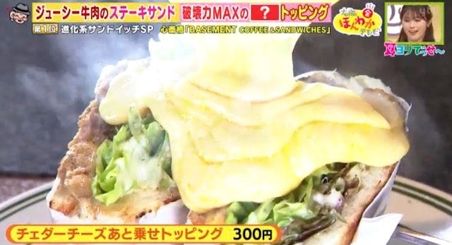 進化系サンドイッチベスト5